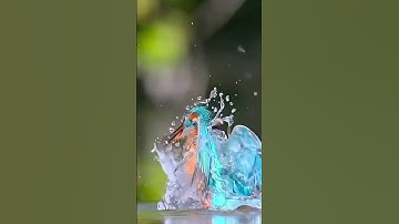 Surah Al-Maidah  سورة المائدة world most beautiful Quran