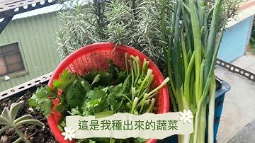 我「超愛吃」有機-有機農業創意宣導影片競賽