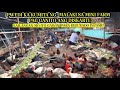 Kikita ka ng malaki sa mini farm pagganito ang diskarte   gawin mo ito para  segurado ang income