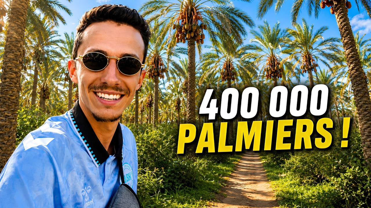 Miniature de l'épisode SEUL dans la plus GRANDE palmeraie de Tunisie