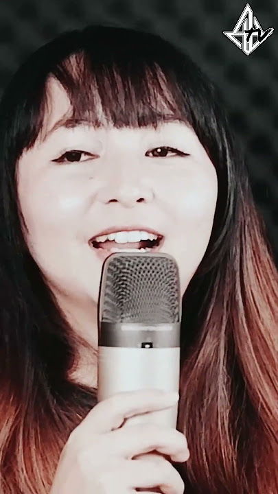 Vierratale - No ! // Cover Music by Hegemony Project