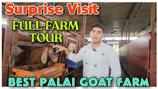 Best Goat Palai Setup In Bhiwandi QUALITY GOAT FARM | FARM TOUR | Goat Farming |@Rizwankranti