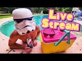 I'm still alive! [LIVE STREAM]