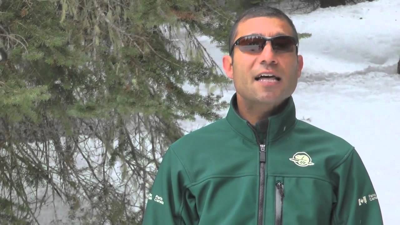 Staying Safe - Snow Science Video 5