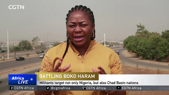 West African countries join forces to fight Boko Haram