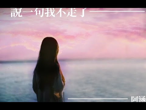 『多希望你還愛我』（伴唱）阿涵-說一句我不走了【KTV字幕】無人聲