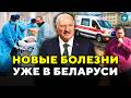 Реальная угроза! В Беларуси обнаружены опасные болезни. Как уберечься? // Новости