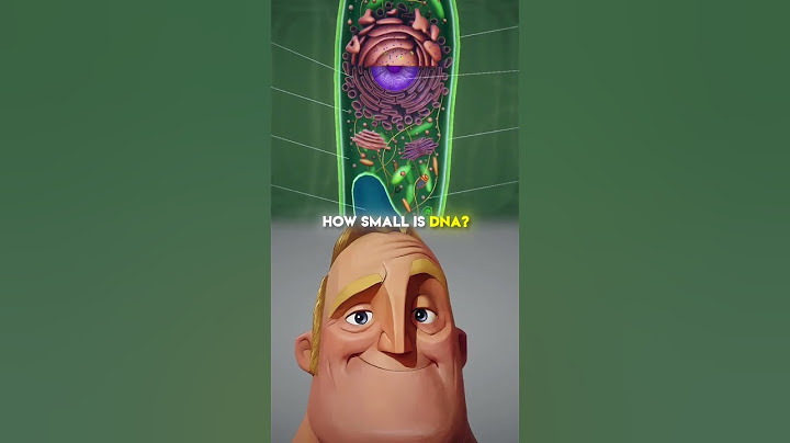 How Small is DNA | A Journey to Its Real Size