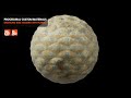 Custom Procedural Materials with Houdini and Karma