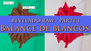 Procesado RAW: balance de blancos