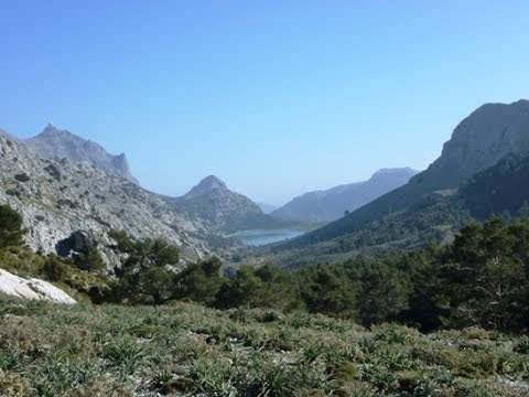 Vídeo: Il·luminació De Jardins, Senders De Pedra, Marcatge, Separació De Pedra, Col·locació - 1