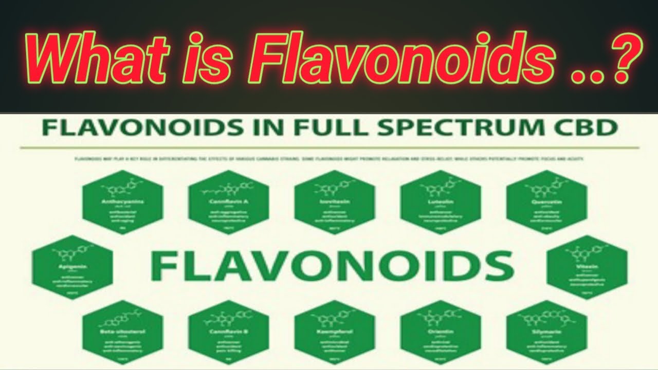 What is Flavonoids? in Urdu / Hindi . Lecture no =12 YouTube