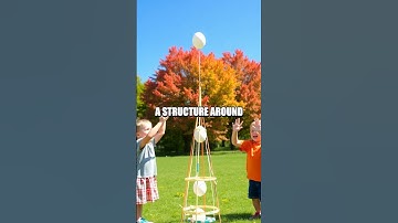 The Egg Drop Experiment: Exploring Gravity and Impact