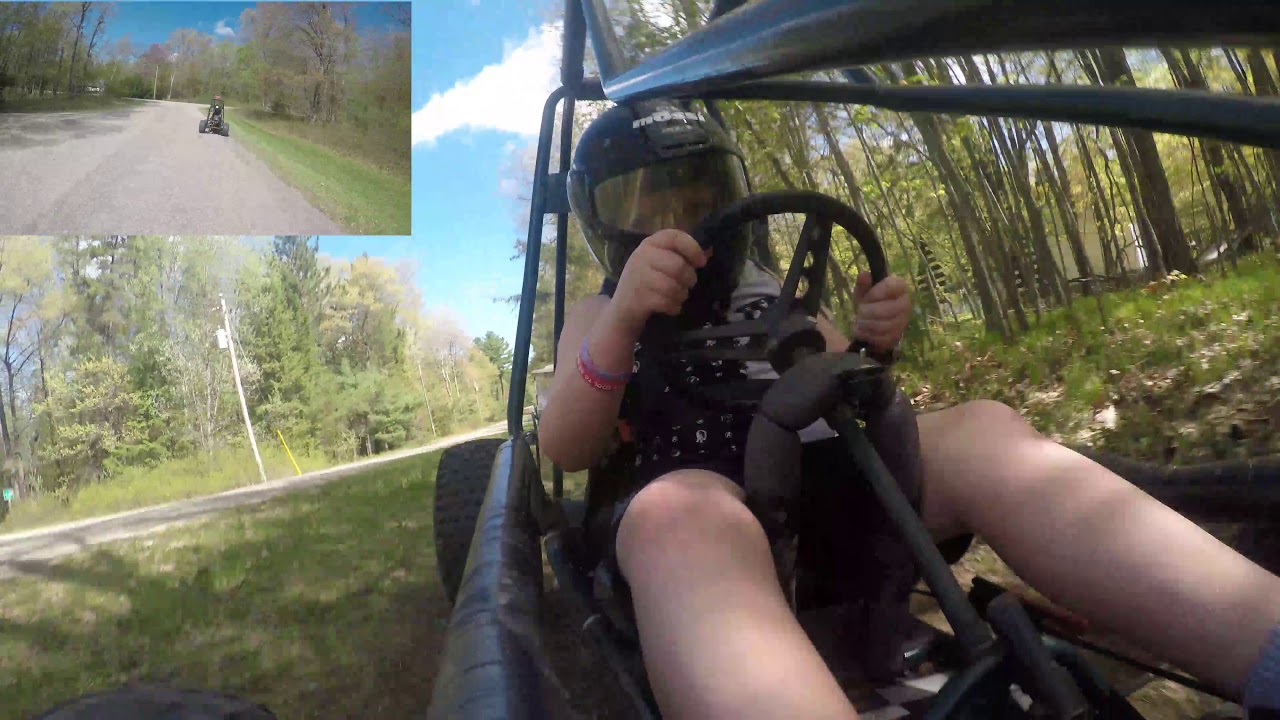 criteria chased by bear gopro