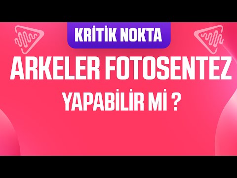 Video: Tüm arkelerde flagella var mı?