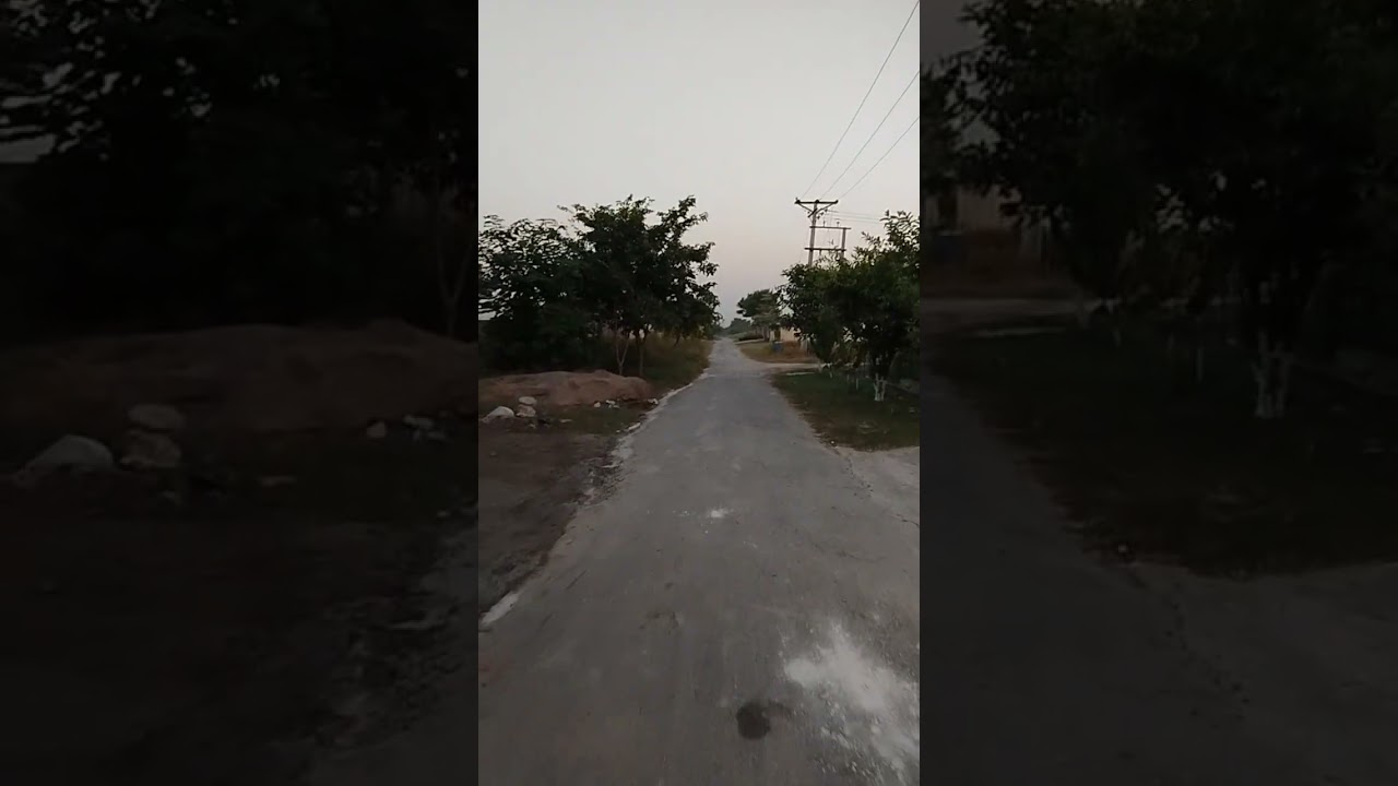 HORTICULTURE AND GARDENING |   