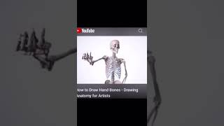 How To Draw Hand Bones, Skeleton Middle Finger Slap