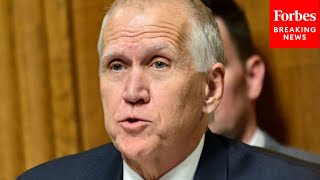 Thom Tillis: 'There Is No Earthly Way' Paths To Citizenship Can Be Expanded Until Border Is Secure