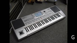 Gratis 5 Set Pa50, Pa80, Micro arranger, dut manual sampling, triaz, koplo, remik palembang