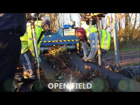 Video: Komkommer Witvrot