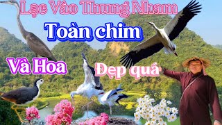 Lạc vào Thung Nham | Lost in Thung Nham tourist area