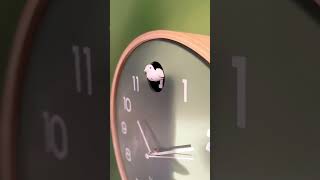 Cuckoo Clocks by Karlsson