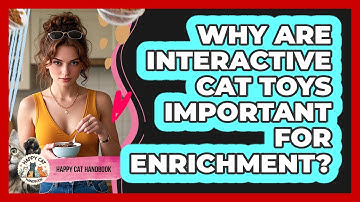 Why Are Interactive Cat Toys Important For Enrichment? - Happy Cat Handbook