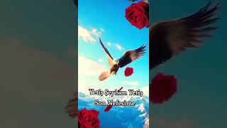 Yetiş Şeyhim Yetiş Son Nefes