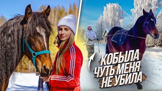 Продолжаем ЗАЕЗДКУ В САНИ | Катаю дочку на ПОНИ