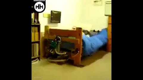 A cama acorda preguiçoso