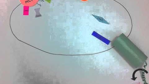 BIOL317F13 Chemotaxis in Escherichia coli