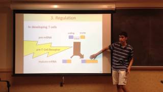 CELF2 in mRNA Splicing