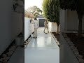 Luxury Modern House Entrance Design 😍✨#HouseDesign #ExteriorDesign#viralvideo