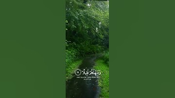 "واصبر على ما يقولون واهجرهم هجرا جميلا" ❤️ | القارئ عبدالرحمن مسعد