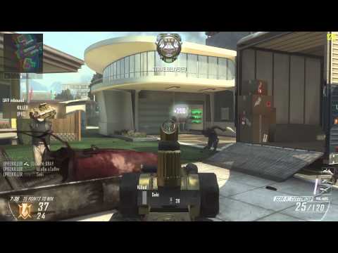 これはTDMです【CoD:BO2】