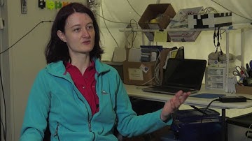 Scientists Exit Mars Simulation After One Year in Isolation