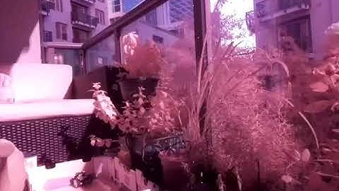 Microbit Robot + Raspberry Pi + Telegram Bot to control