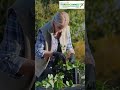 Best Agri Connect Expo 2025