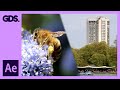 Adobe After Effects Video Transitions Quiz