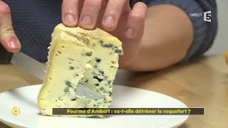 Fourme Dambert Va-T-Elle Détrôner Le Roquefort ?