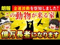 【🌟驚愕】動物が寄ってくる家はお金持ちになる？金運有りと認定されています【ゆっくり解説】【スピリチュアル】