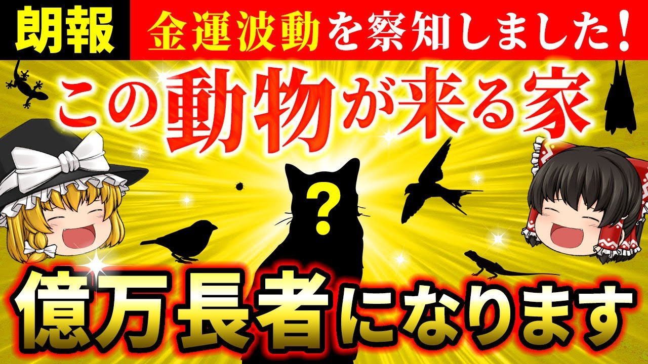 【🌟驚愕】動物が寄ってくる家はお金持ちになる？金運有りと認定されています【ゆっくり解説】【スピリチュアル】