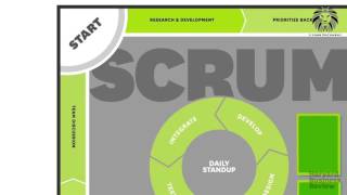 A quick introduction to Agile Management by Harvard Business Review