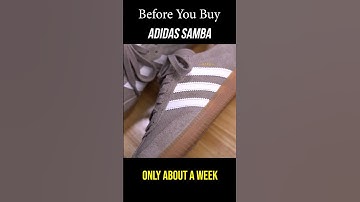 Everything You Need to Know About The Adidas Samba