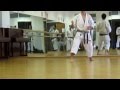 Shotokan karate  kihon techniques for sandan 3rd dan  ksk syllabus
