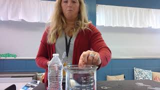 Cartesian Diver Science Directions