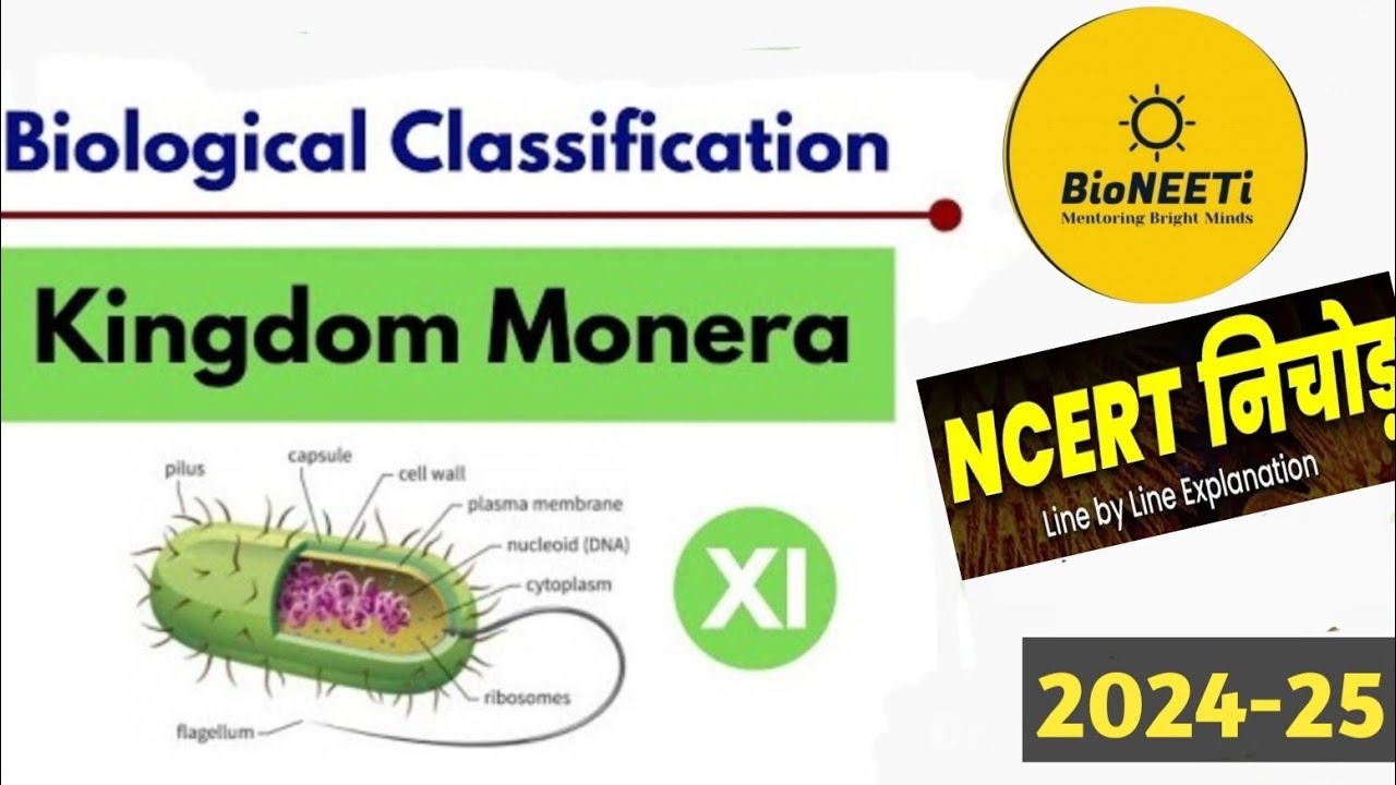 Kingdom Monera - Biological Classification Class 11 Biology NCERT NEET ...