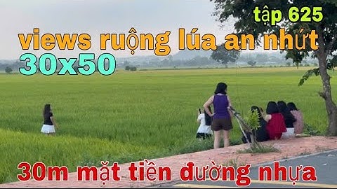 NHỈNH 1TY CHO LÔ ĐẤT ĐẸP GẦN PHỐ ẨM THỰC AN NHỨT. VIEW RUỘNG LÚA GẦN BIỂN  PHƯỚC HẢI 🌊