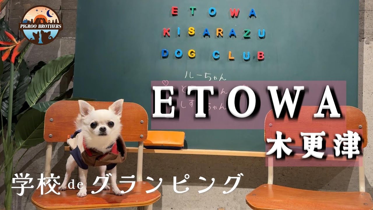  【エトワ木更津】夢のような飲み放題&食べ放題がある遊び心満載のグランピング施設【犬連れ夫婦】