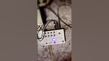 Hologram Electronics Microcosm! #shorts #effectspedals #hologramelectronics